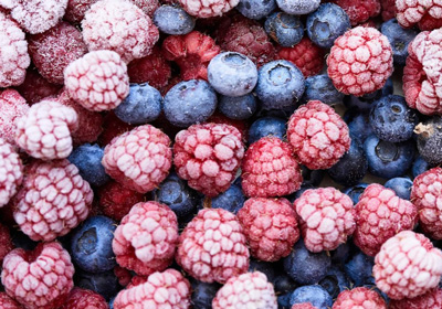 Fruit Fruit